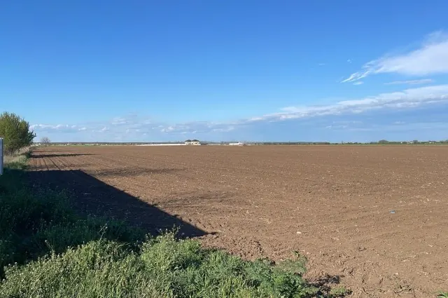 Teren intravilan de vânzare – 18.000 mp – Dascălu, Ilfov, fotografia 1